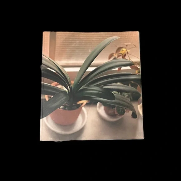 RARE!! MASAFUMI SANAI "IKITEIRU" PHOTOGRAPHY BOOK - Picture 2 of 6